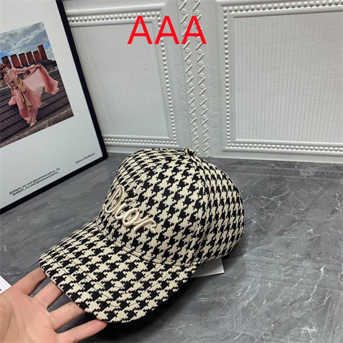Dior-Cap(AAA)-002
