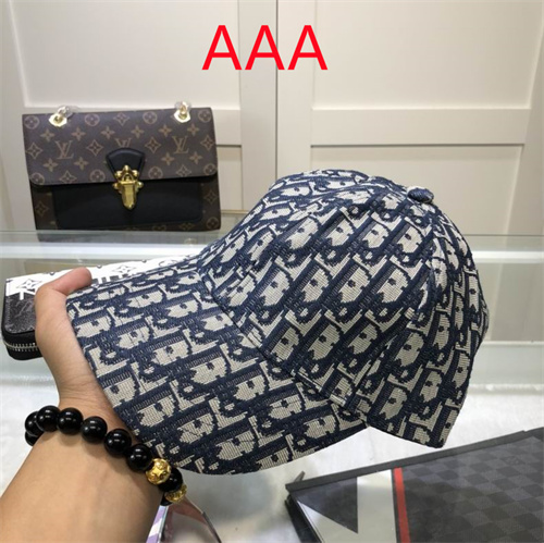 Dior-Cap(AAA)-040