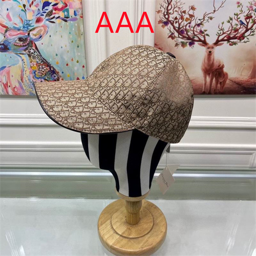 Dior-Cap(AAA)-044