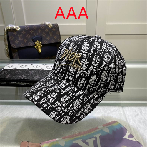 Dior-Cap(AAA)-050