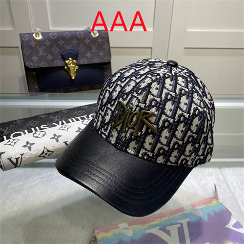 Dior-Cap(AAA)-055