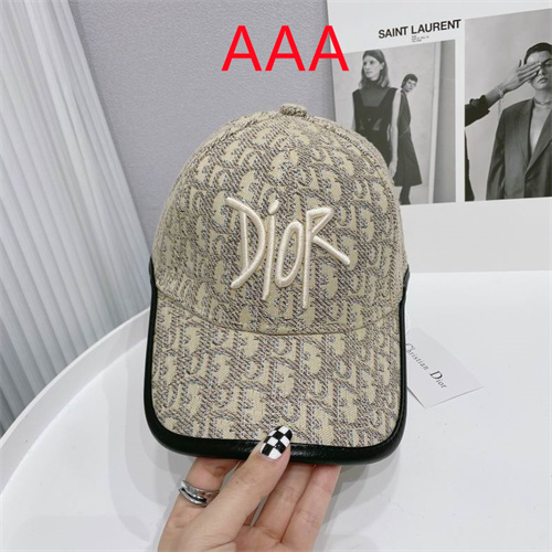 Dior-Cap(AAA)-069