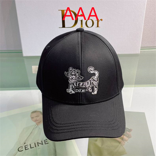 Dior-Cap(AAA)-074