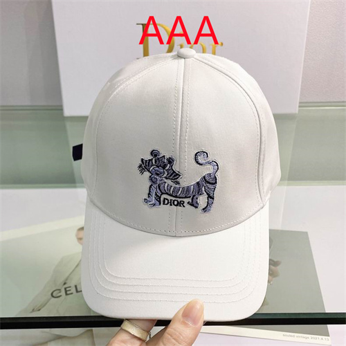 Dior-Cap(AAA)-075