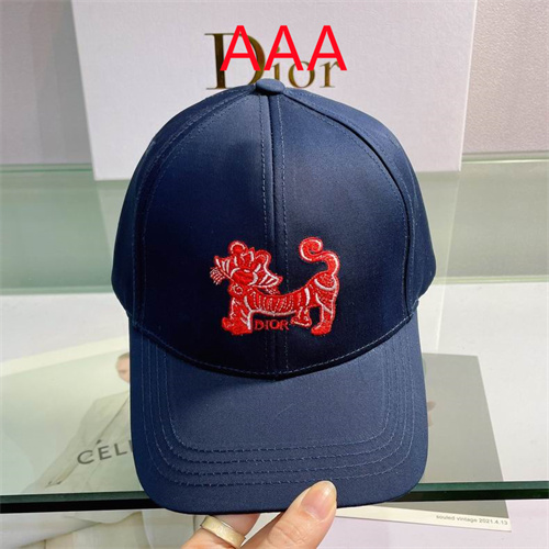 Dior-Cap(AAA)-076