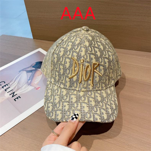 Dior-Cap(AAA)-081