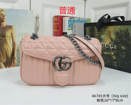 Gucci small bag-0135