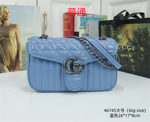 Gucci small bag-0136