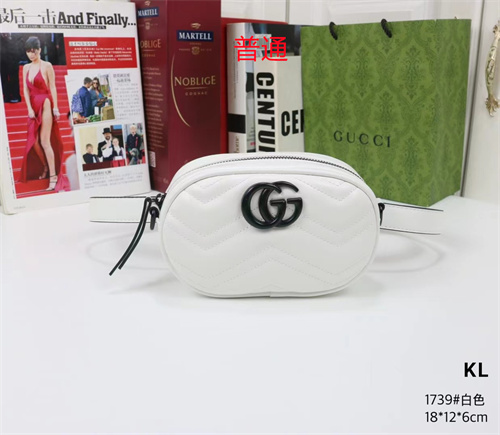 Gucci small bag-0178