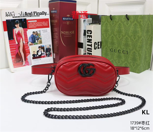 Gucci small bag-0180