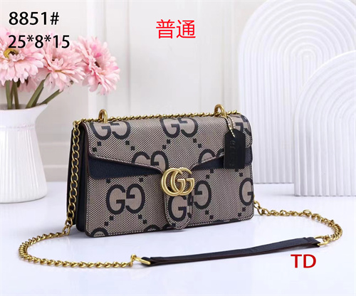 Gucci small bag-0256