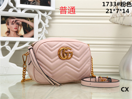 Gucci small bag-0028