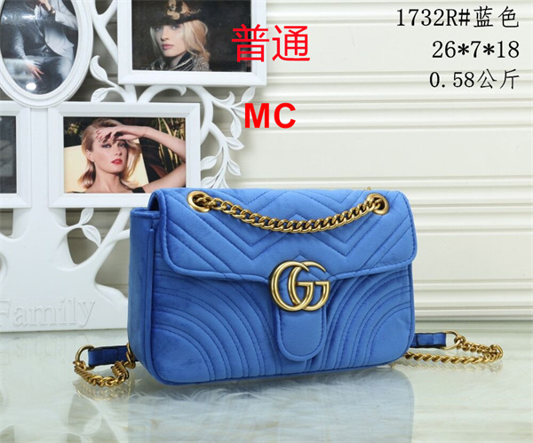 Gucci small bag-0309
