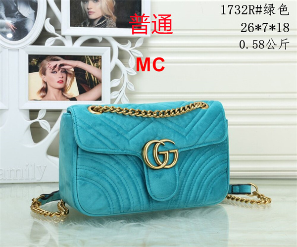 Gucci small bag-0311