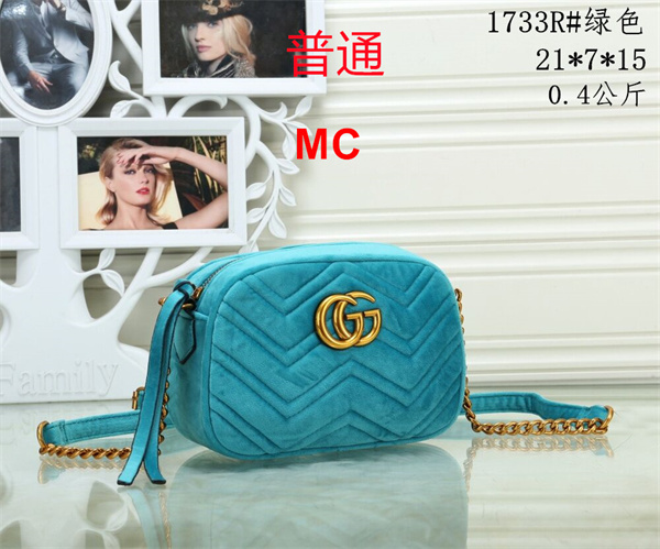 Gucci small bag-0314