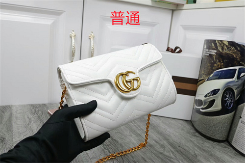 Gucci small bag-0039
