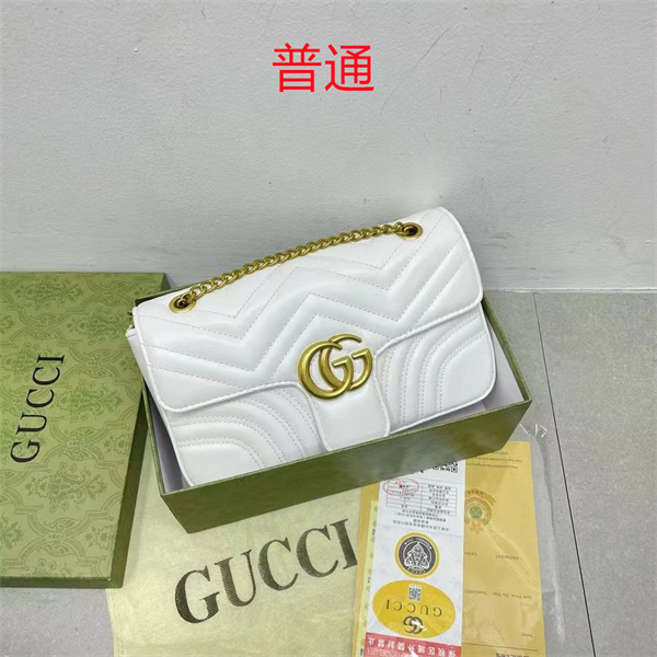 Gucci small bag-0399