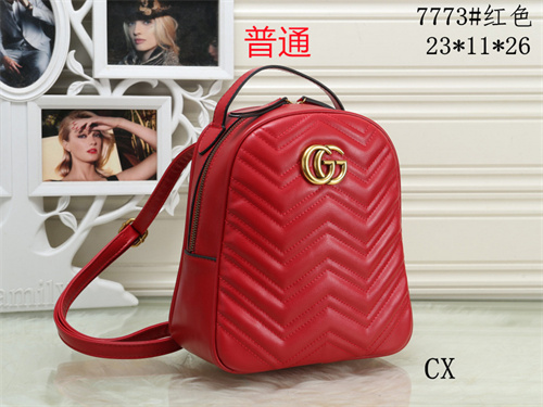 Gucci small bag-0045