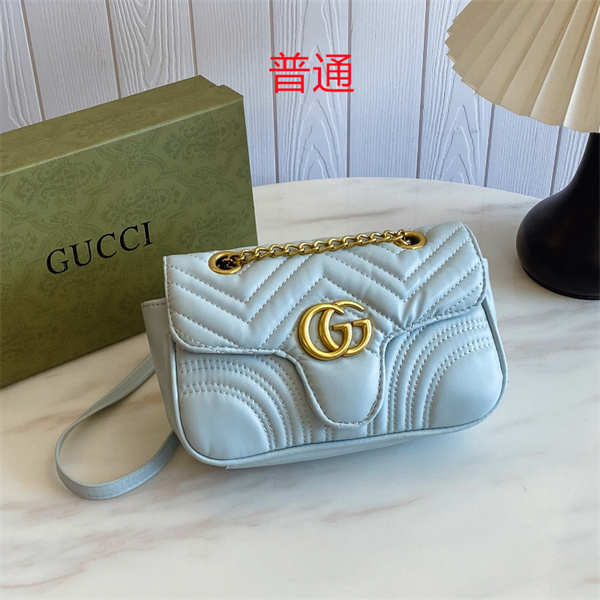 Gucci small bag-0888