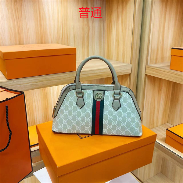 Gucci bag-0135
