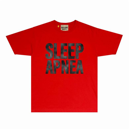 Gallery Dept Round neck T-shirt-0259