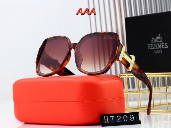 Hermes-Sunglass(AAA)-0068