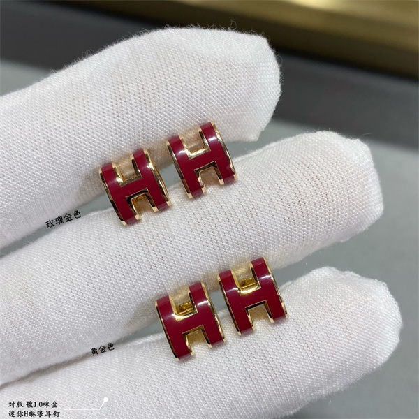 Hermes Earrings-022