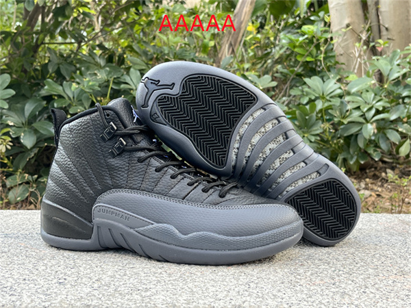 Jordan12(AAAAA)-M-0017