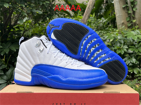 Jordan12(AAAAA)-M-0023