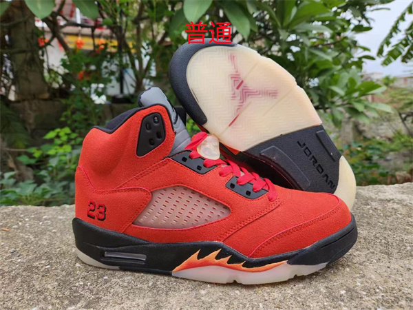 Jordan5-M-0040