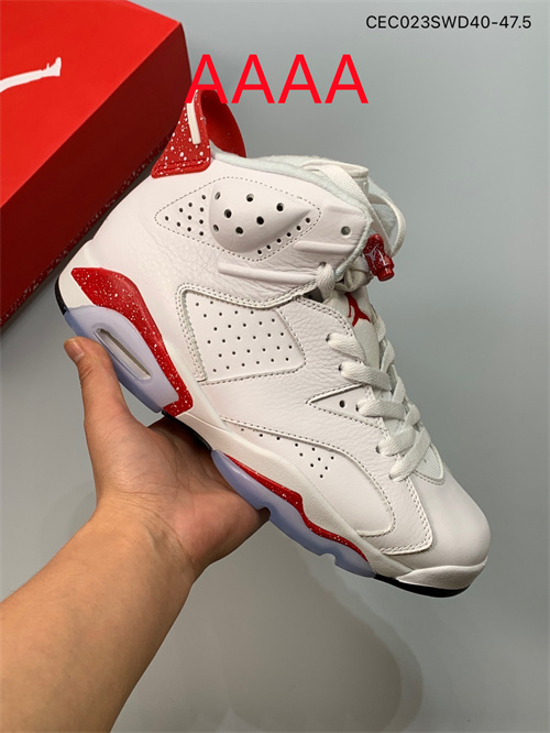 Jordan6(AAAA)-M-019
