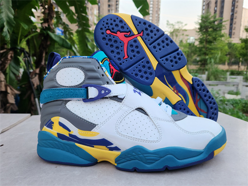 Jordan8-0029