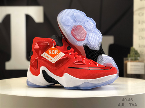 Lebron James 13-M-002