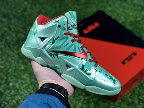 Lebron James 11-M-007