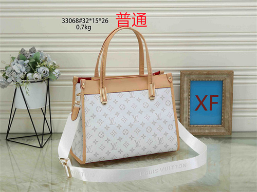 LV bag-0100