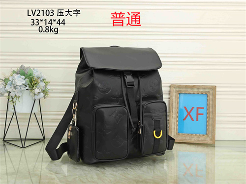 LV bag-0154