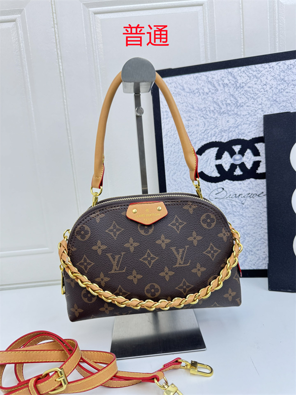 LV bag-0221