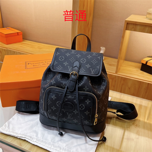 LV bag-0239
