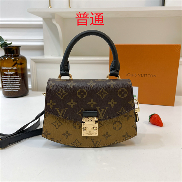 LV bag-0350
