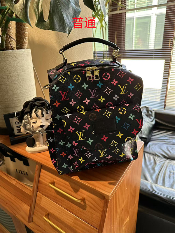 LV bag-0497