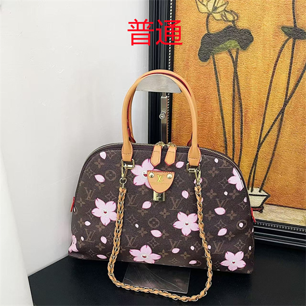 LV bag-0679