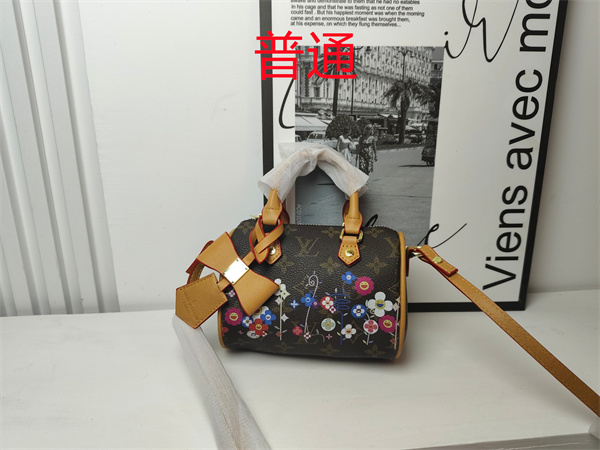 LV small bag-1043