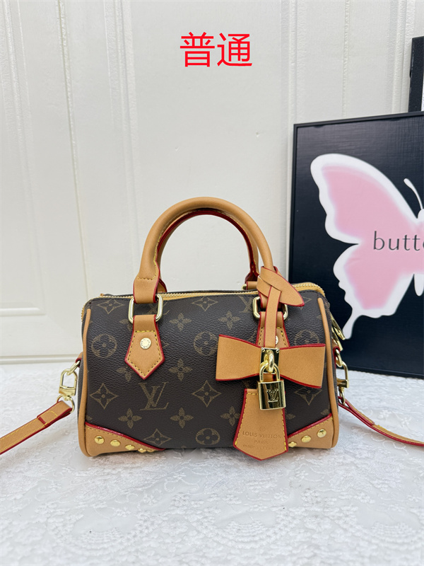 LV small bag-1133
