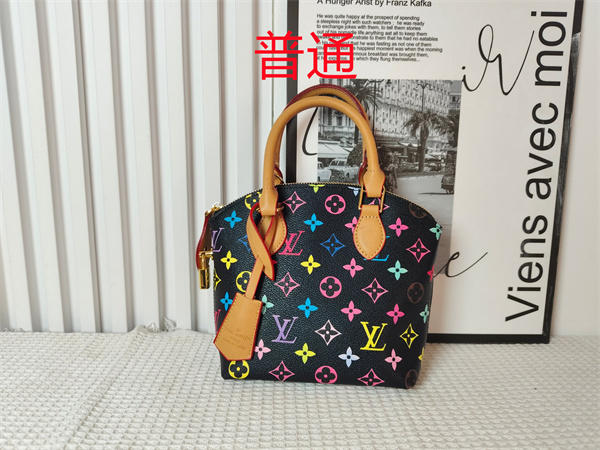LV small bag-1149
