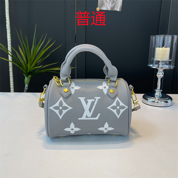 LV small bag-1193