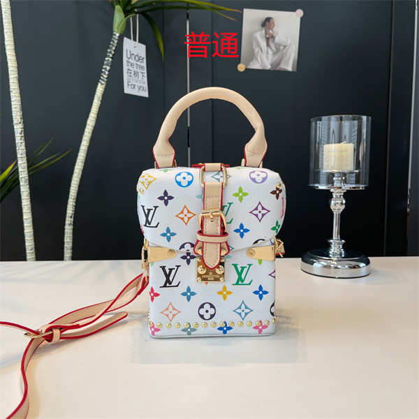 LV small bag-1458