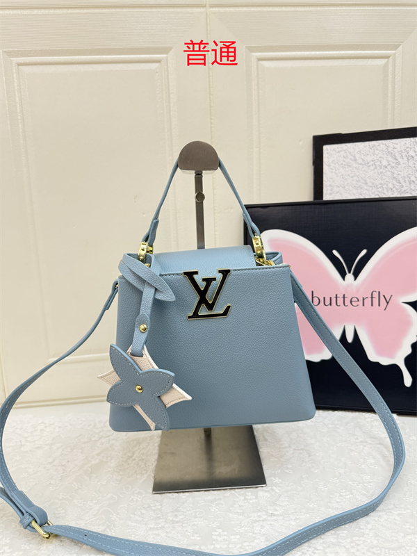 LV small bag-1480