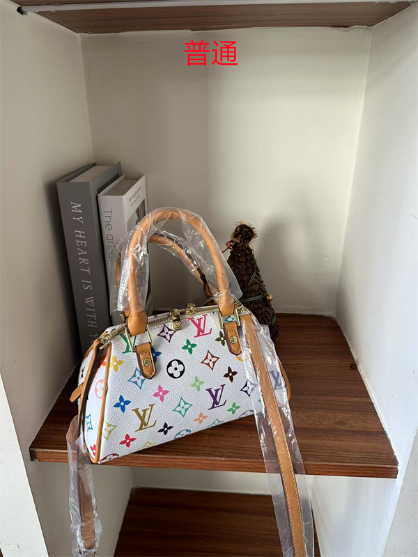 LV small bag-1529