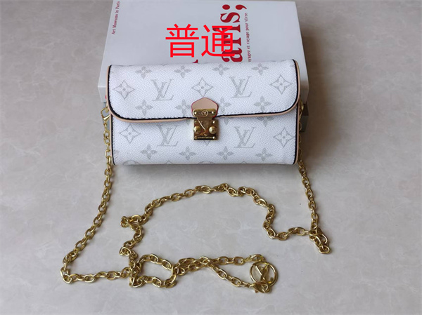 LV small bag-1564