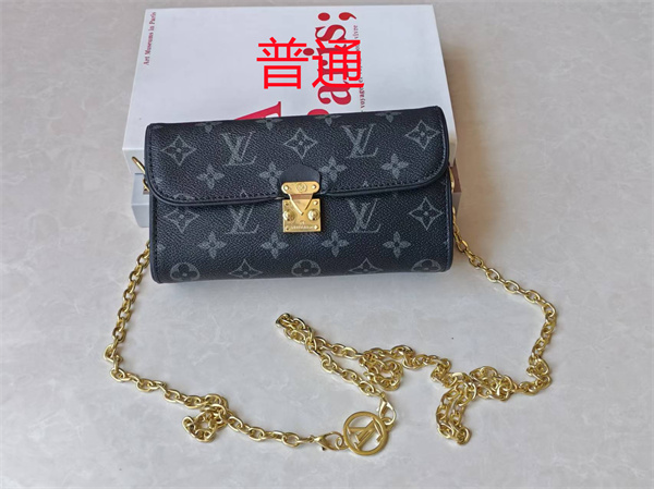 LV small bag-1568
